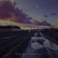 Travelling Through Sand Dunes - Massagem Coleção de Músicas & Study Music & White Noise for Baby Sleep