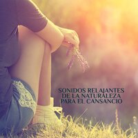 Contemplación natural - Academia de Sonidos de la Naturaleza para Dormir