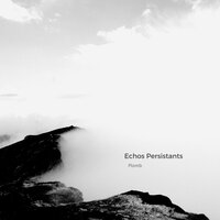 En vue - Echos Persistants