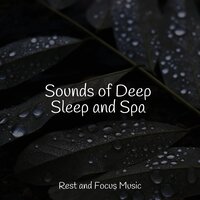 Pathways of Life - Study Zone & Musique Zen Garden & ZEN