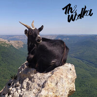Like This - The Wodka