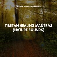 Harmony Balance - Tibetan Monastery Sounds