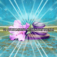 Capture Happiness - White Noise Therapy & White Noise Relaxation & White Noise Meditation