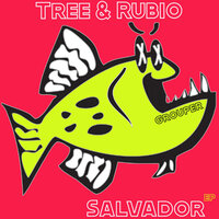 Salvador - Tree