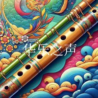 在那遥远的地方 - 华乐之声