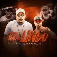 Tudo Lindo - Mc Pp Da Vs & MC DIMENOR DR & Mc PP da VS, Mc Dimenor DR