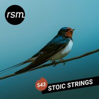 The Last Swallow - Alex Attwood