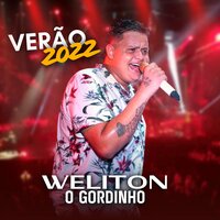 Todo Mundo Menos Você - Weliton O Gordinho