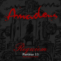 Kapitel 21: Nur Dort - Amadeus