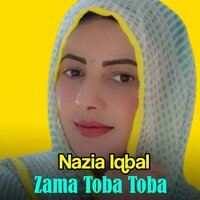 Na Dilbar Jan Na Kho Dildar Ye - Nazia iqbal