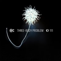 113 - @c & Susana Santos Silva & Angelica V. Salvi