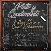El Que Canta - Pellejo Seco & Cesar Echavarría
