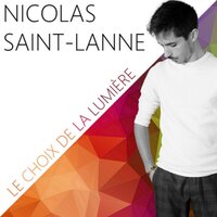 La mort de l'oiseau - Nicolas Saint-Lanne