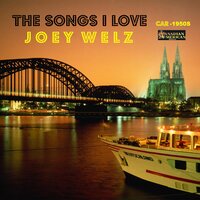 Since I Don't Have You - Joey Welz