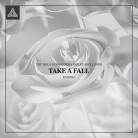 Take A Fall - The Brig & Rob Gasser & Ashley Apollodor & Demicat