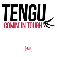 Let the Beat Go - Tengu & Duckworthsound
