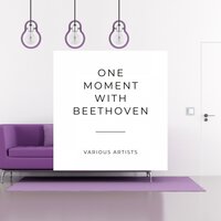 Symphony No. 5, in C Minor, Op. 67: III. Allegro - Herman Scherchen & Philharmonic Symphony Orchestra Of London & Ludwig van Beethoven