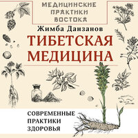 Жимба Данзанов. «Тибетская медицина: современные практики здоровья». Часть 20 - Вадим Пугачев