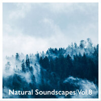 Piano Concert In Nature - Gene Pierson