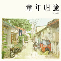 许多年以后 - 王小洋
