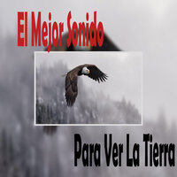 Música para Hacer Yoga Con los Niños - El Mejor Sonido