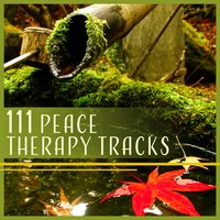 State of Bliss - Calm Nature Oasis