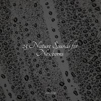 Birds Singing by a Waterfall - The Rain Library & Rainfall & FX & Effects
