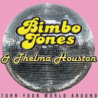 Turn Your World Around - Bimbo Jones & Thelma Houston