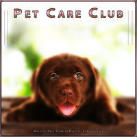 Soothing Sleeping Music for Dogs - Pet Care Club & Music for Dog's Ears & Dog Music Collective