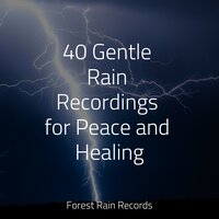 Wind and Rain - Massagem & Sonidos de lluvia para dormir & The Rain Library