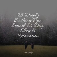In the Forest - Classical Lullabies & Natural Samples & Deep Sleep FX
