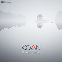 Out of Focus - Koan
