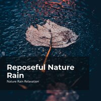 Listen to the Wilds - Rain Recorders & Rainfall & Nature Rain Relaxation