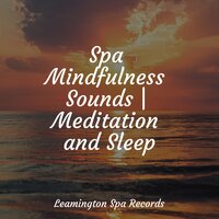 Meditative Waves - Happy Baby Lullaby Collection & Binaural Beats Brainwave Entrainment & Massagem Guru