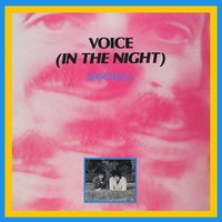 Voice (In the Night) - Martinelli