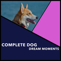 Silk Reflection - Puppy Music & Puppy Music Therapy