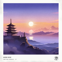Take You Back - Aaron Payne