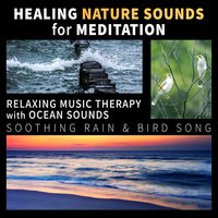 Healing Sounds of Nature & Native American Flute - Healing Power Natural Sounds Oasis