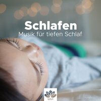 Baby Musik - Entspannungsmusik Meer & Entspannung Tribe & Entspannungsmusik Meer & Entspannung Tribe