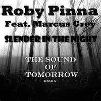 Slender in the Night - Marcus Grey & Guido DGJ Calzi & Roby Pinna
