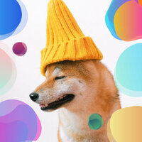 Calm Backdrops for Chill Dogs - Dog Music Therapy