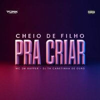 Cheio de Filho pra Criar - Mc 2M Rapper & DJ TH CANETINHA DE OURO & Funk das galáxias