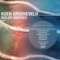 Metaforik - Koen Groeneveld