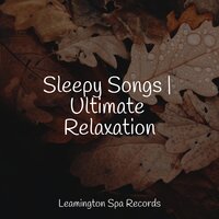 Peace and Tranquility - Ambient Nature Project & Nursery Rhymes ABC & Asmr Sleep Sounds