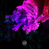 Fotosintetica - Sasha Carassi & Davide Famularo