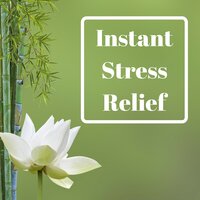 Not Sleeping Here Tonight (Calmness and Serenity New Age Massage Music) - Kurt Oasis