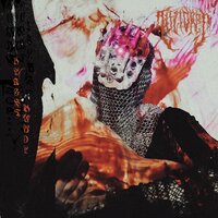 Herbsthunde der Karpaten - Lifetaker