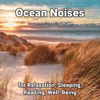 Reflective Impulses - Nature Sounds & Ocean Sounds & Sea Sounds to Sleep To
