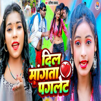 Dil Mangta Paglet - Karishma Kakkar