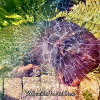 Find Soothing Sleep - White Noise Babies